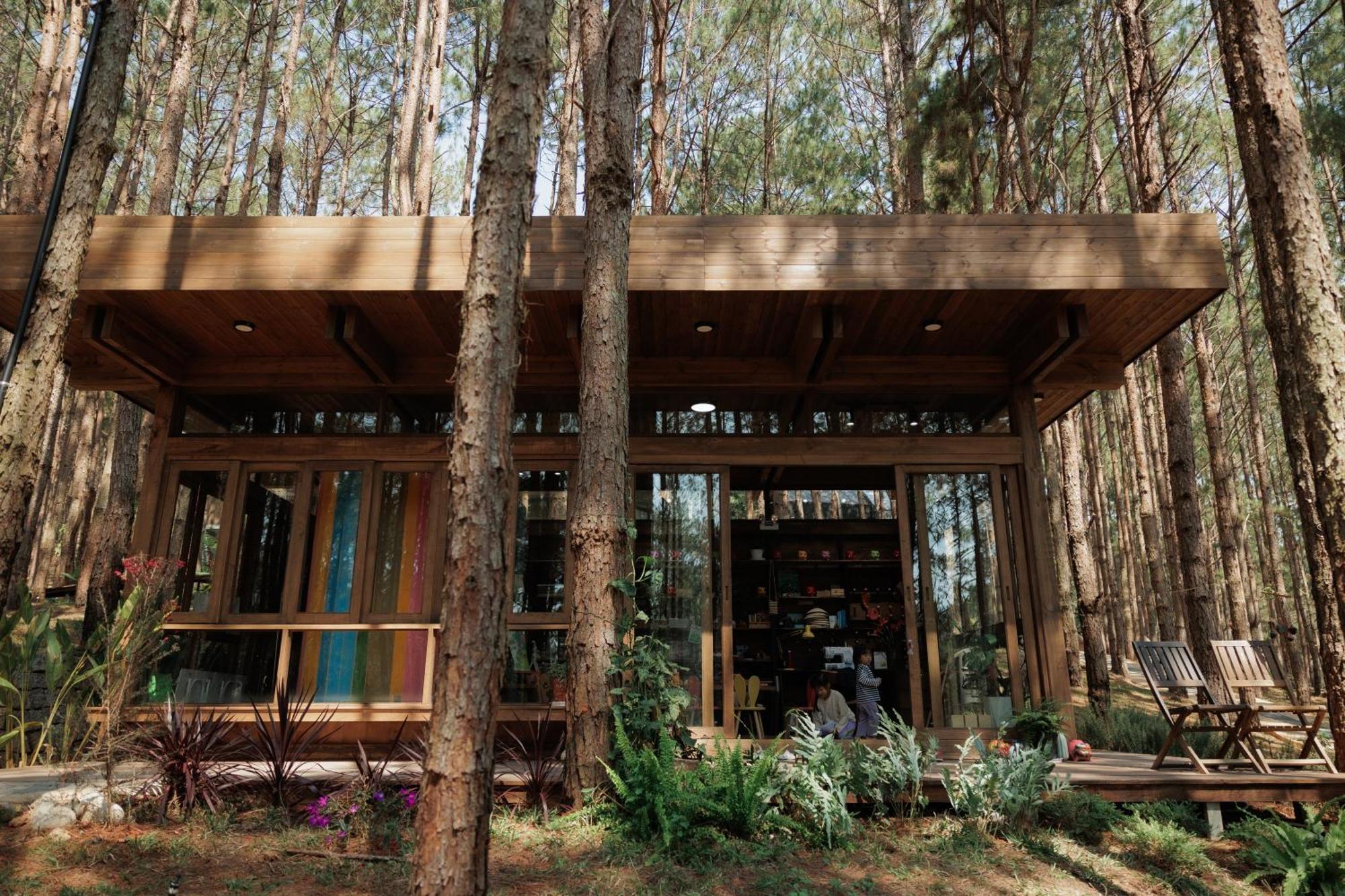 Mo Stay - Forest Resort Da Lat Exterior foto