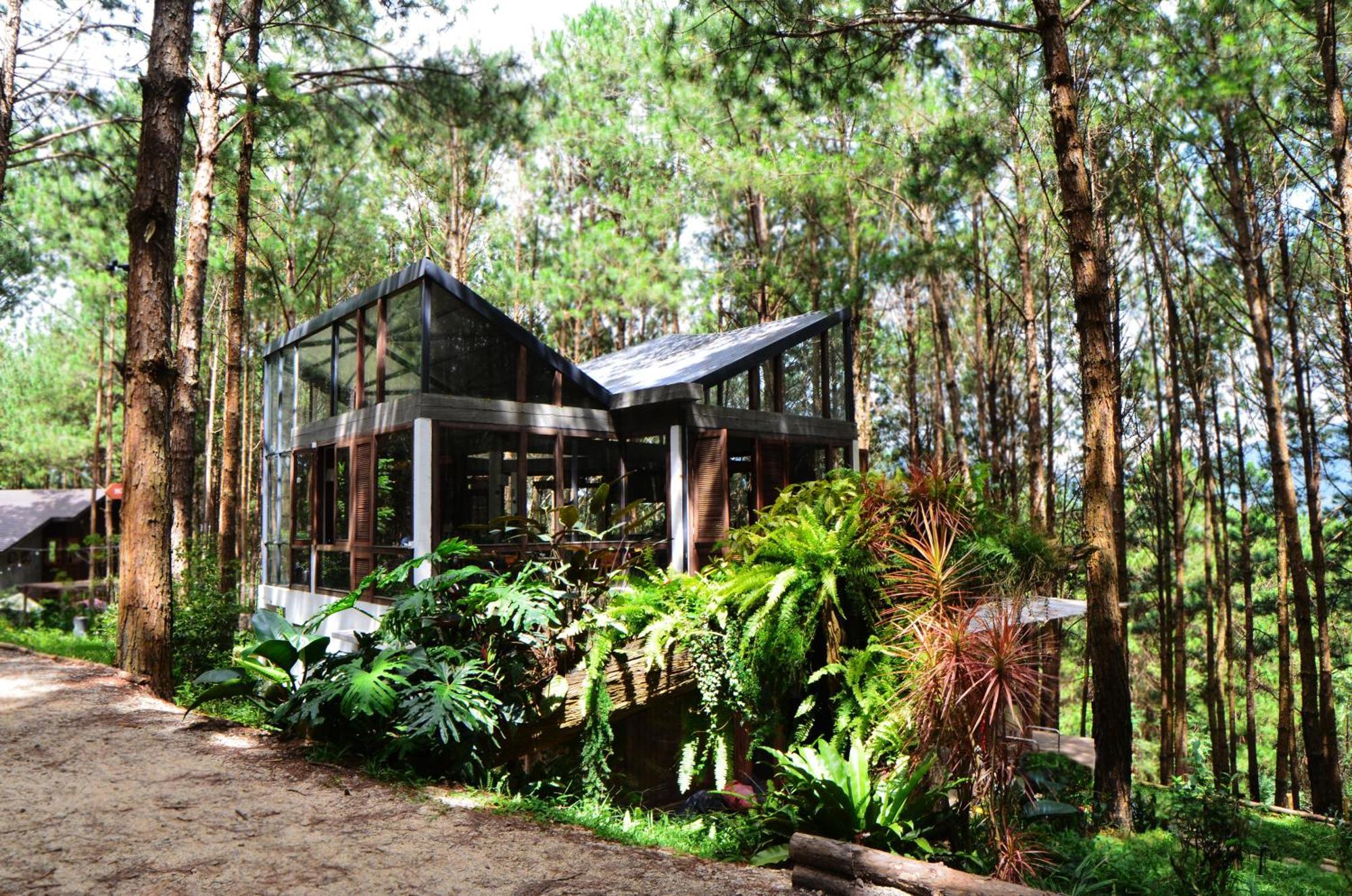 Mo Stay - Forest Resort Da Lat Exterior foto