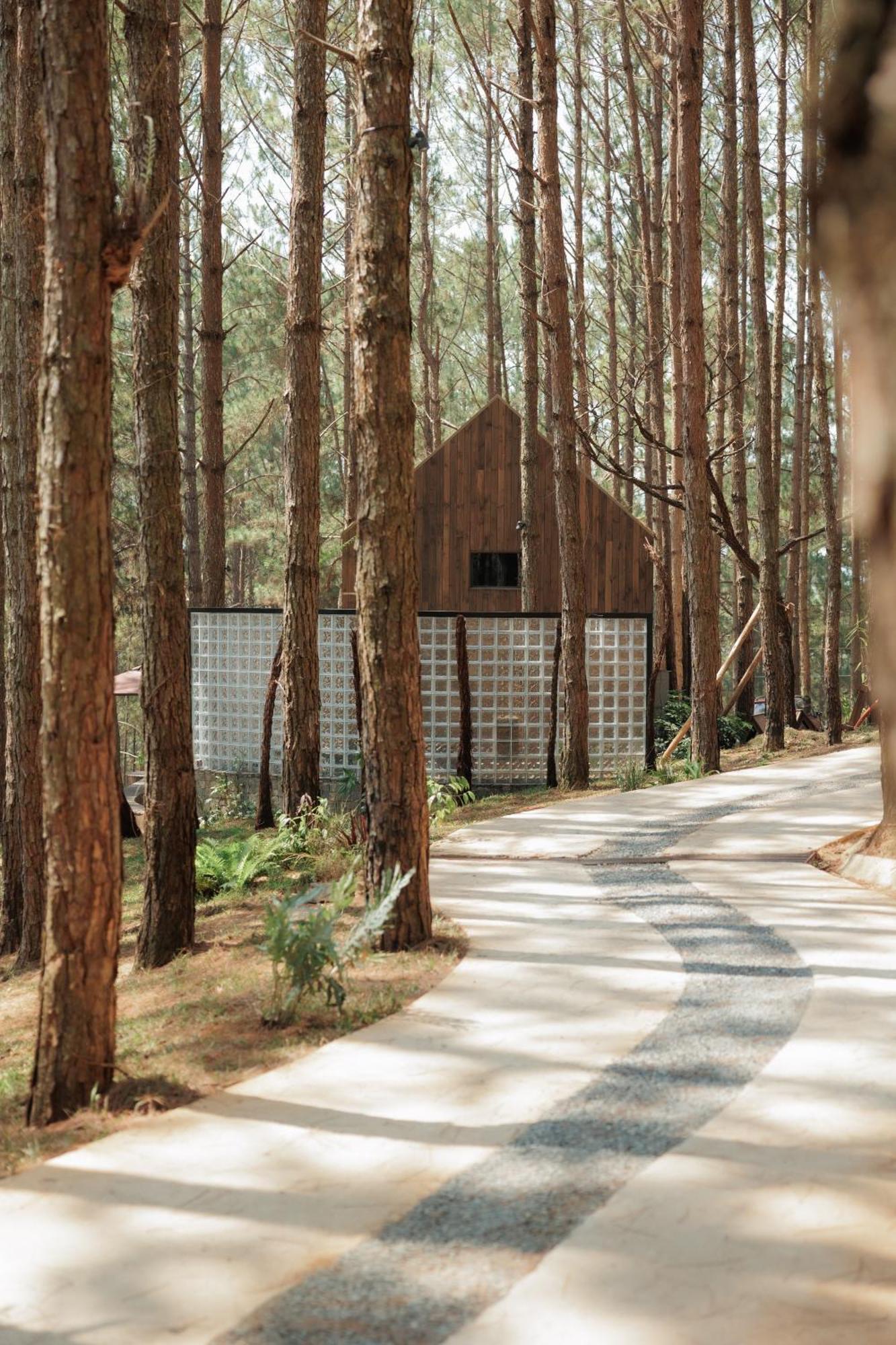 Mo Stay - Forest Resort Da Lat Exterior foto